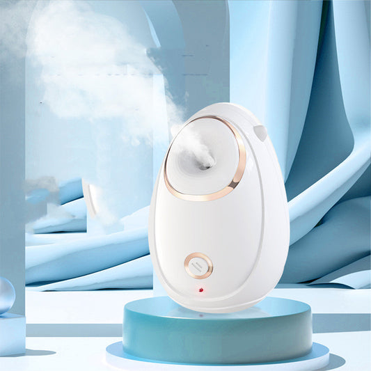 Home Facial Beauty Hot Spray Steaming Face Instrument