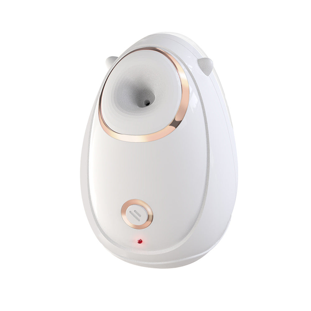 Home Facial Beauty Hot Spray Steaming Face Instrument